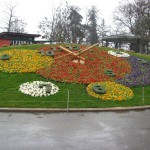 Flower Clock