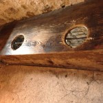 View of "Toilet Seats" in Chateau Chillon