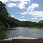 View from the Jet Boat on Sigatoka River