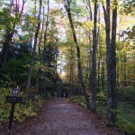 A trail in White Mountain off Kancamagus Highway